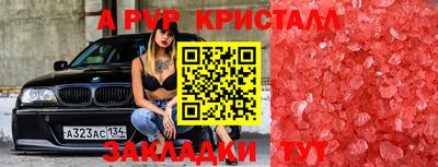 гидра Тверь