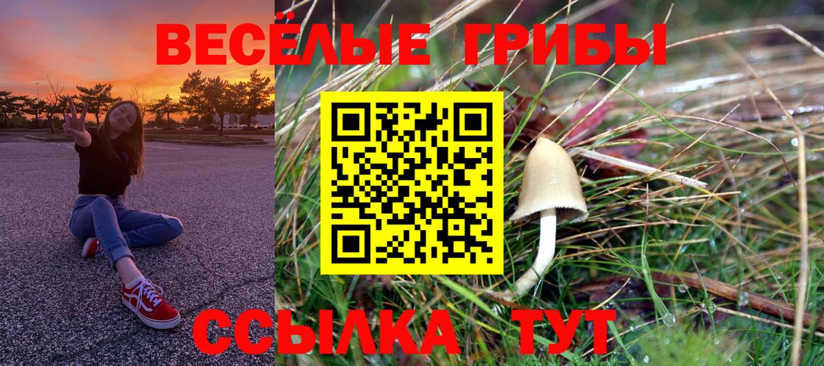 Псилоцибиновые грибы мицелий  Вход с VPN  Белгород 
