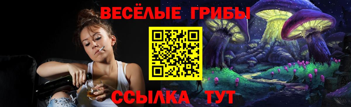 Псилоцибиновые грибы мухоморы Белгород